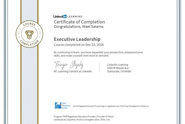 Executive-Leadership-.jpg