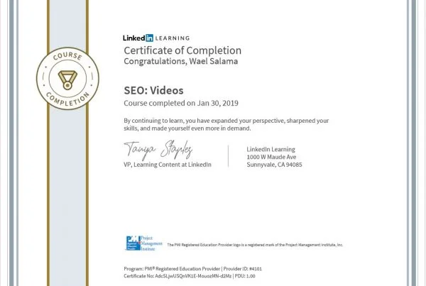 SEO-Videos.jpg